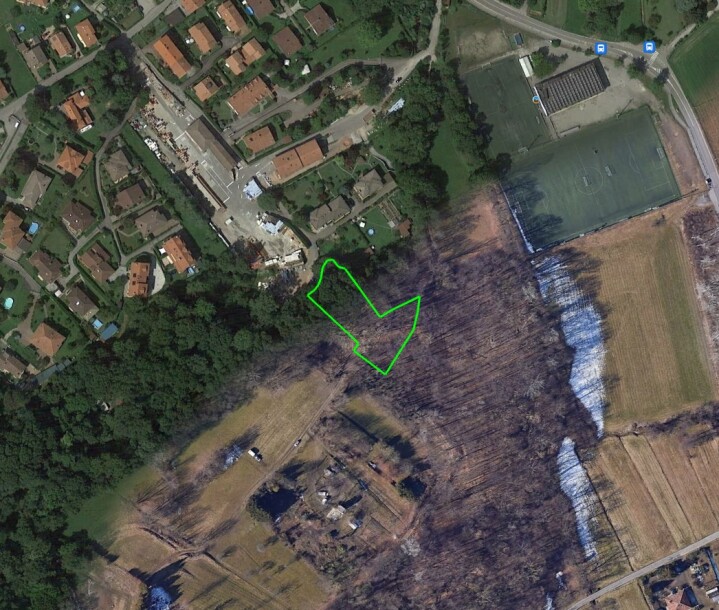 VARESE CAPOLAGO, BOSCO-1