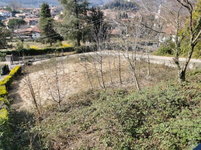 BESANO, DUE CASE INDIPENDENTI CON TERRENO