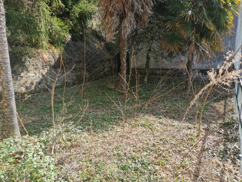 BESANO, DUE CASE INDIPENDENTI CON TERRENO-17