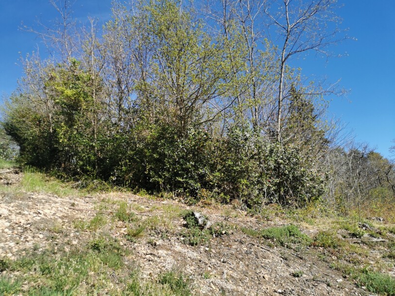 CUASSO AL MONTE, TERRENO EDIFICABILE PANORAMICO-3
