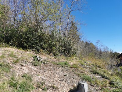 CUASSO AL MONTE, TERRENO EDIFICABILE PANORAMICO