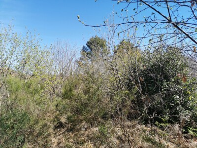 CUASSO AL MONTE, TERRENO EDIFICABILE PANORAMICO
