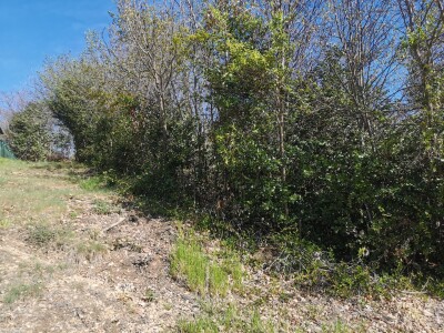 CUASSO AL MONTE, TERRENO EDIFICABILE PANORAMICO