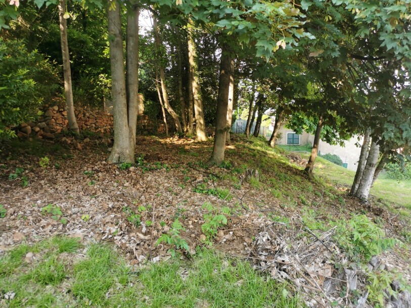 CUASSO AL MONTE, CAVAGNANO, TERRENO EDIFICABILE-9